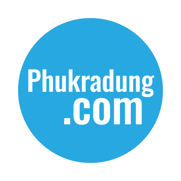 domain-premium-phukradung-com